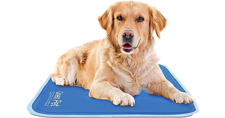 Cooling gel hotsell pet mat